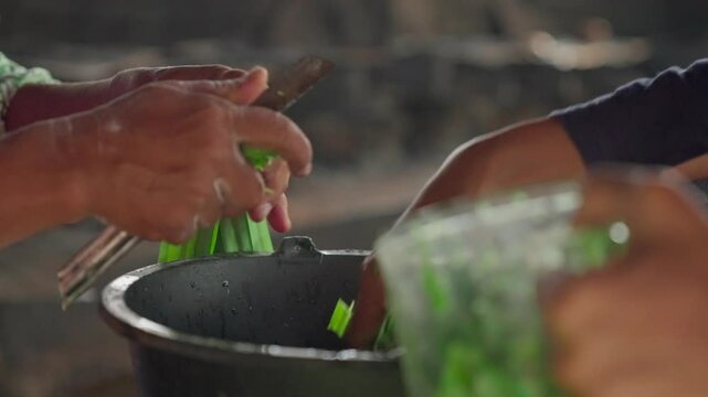 An Asian woman cuts pandan leaves to grind them to make a paste