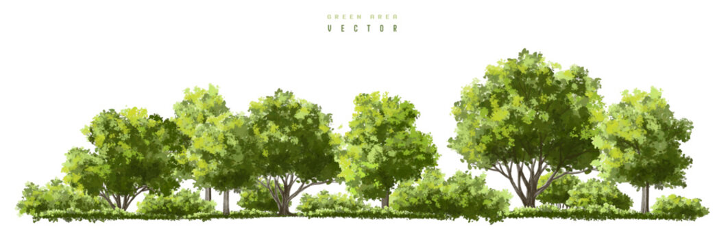 green grass isolated on white background, Vertor set of green tree,plants side view for landscape elevations,element for backdrop,eco environment concept design,watercolor greenery scene,shrub