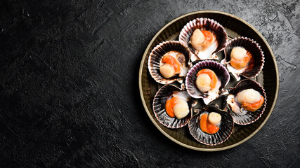 Seafood. Metal tray with Fresh Sea Scallops in shells. On a dark stone background. Top view.