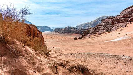 Krajobrazy, formacje skalne i przyroda pustyni Wadi Rum, © Piotr