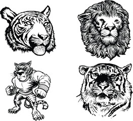 vector illustration of a tiger