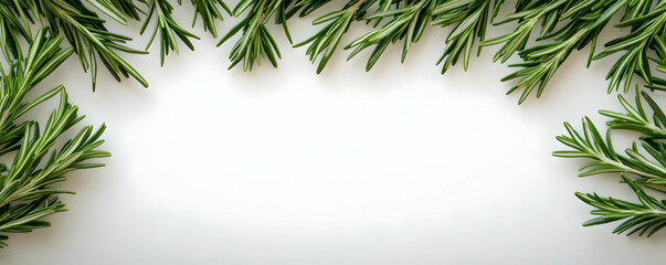Fototapeta premium Rosemary border, white background, recipe design
