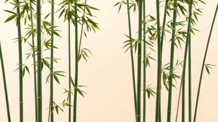 The Serene Bamboo Grove – An Emblem of Strength and Flexibility