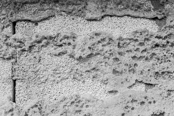 Textured concrete wall showing various patterns and imperfections in detail