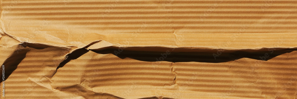 Poster dark beige corrugated cardboard texture with rough edges and visible creases and folds