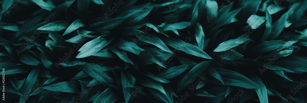 Poster dark green rough grass texture with coarse blades and deep shadows from a top view perspective