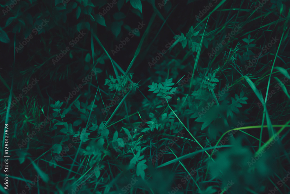 Poster dark green rough texture with tall grass creating a natural atmosphere against a black backdrop