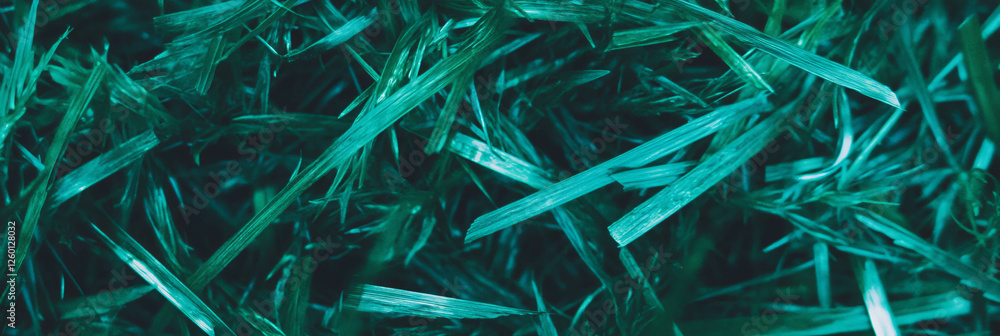 Poster exploring the intricate texture of dark green grass from a top view perspective
