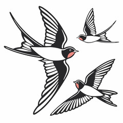The Lives of Birds in Flight Swallows in mid-flight with detailed wingspans