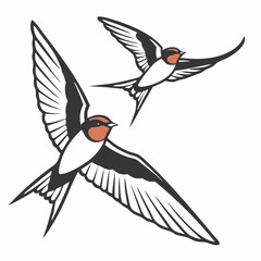 The Lives of Birds in Flight Swallows in mid-flight with detailed wingspans