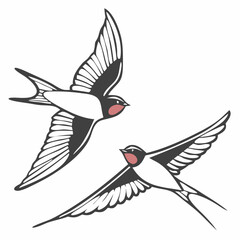 The Lives of Birds in Flight Swallows in mid-flight with detailed wingspans