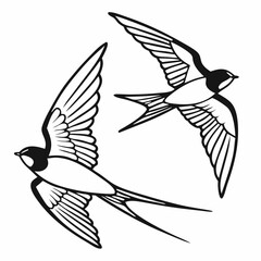 The Lives of Birds in Flight Swallows in mid-flight with detailed wingspans