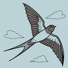 Fototapeta premium The Lives of Birds in Flight Swallows in mid-flight with detailed wingspans