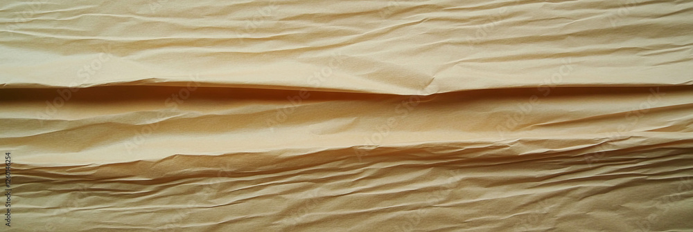Poster Light brown paper texture with subtle horizontal lines and fine variations in detail
