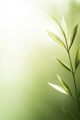 Fototapeta premium Delicate green leaves against soft, blurred background evoke tra