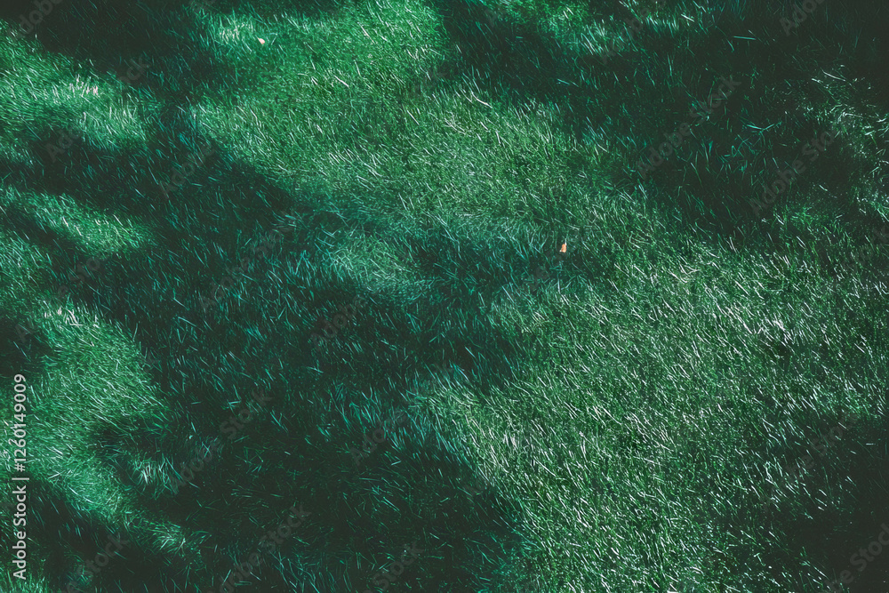 Poster beautiful light green fairway texture with smooth rolling surface on black background