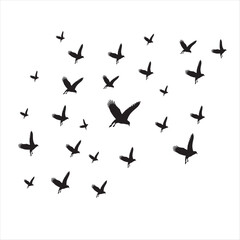 Flock Flying Birds Silhouette Vector  Image