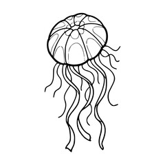 a black and white drawing of a realistic jellyfish illustration © Zen20