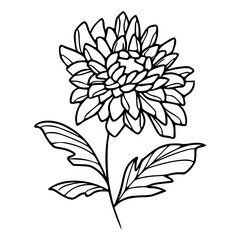 a black and white drawing of a dahlia flower for coloring pages