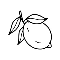 hand drawn of a lemon with leaves for coloring pages