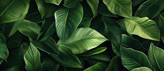 Obraz premium Lush vibrant green foliage fills the image with rich textures and smooth leaf surfaces creating a seamless nature-inspired backdrop.