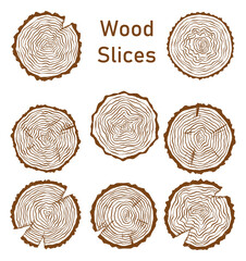collection-wooden-slices