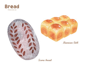 Hand drawn watercolor bread illustration set