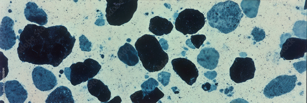Poster mottled gray and black texture featuring dense spots and dark shadows across the surface