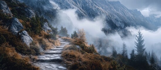 Obraz premium Misty silver mountain trail winding through lush green shrubs and rocky terrain under a foggy sky evoking adventure and exploration in nature
