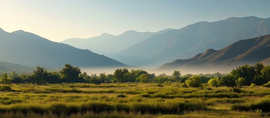 Fototapeta premium Foggy valley with lush green grass and trees in the foreground, sunlight illuminating the mountains in the background on a serene summer morning.