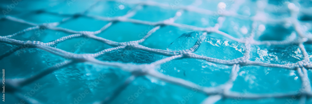 Poster close-up view of nylon netting over smooth ice surface in a sports environment