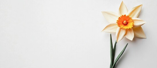 Origami daffodil flower in soft beige and bright orange positioned to the right on a clean white background with green paper leaves