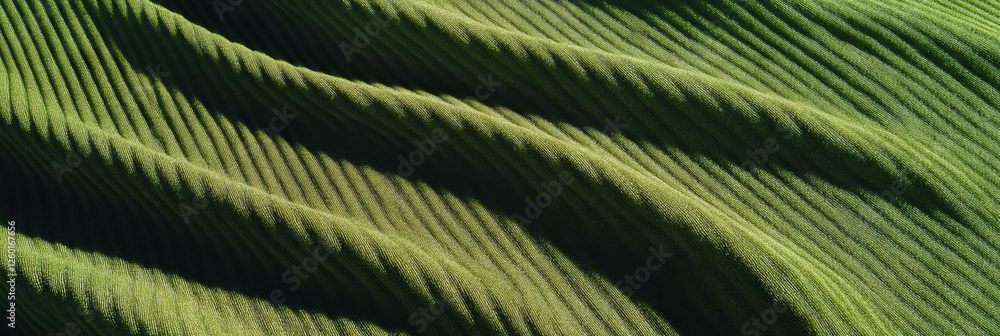 Poster Dense ribbed olive green carpet texture featuring deep shadows and linear patterns