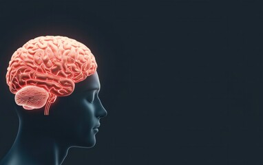Obraz premium Exploring Brain Functionality and Neural Connectivity in a Digital Art Representation