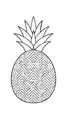 Pineapple Fruit Food Meal Healthy Coloring Kid Book Page in Black and White. Monochrome and Colored Samples
