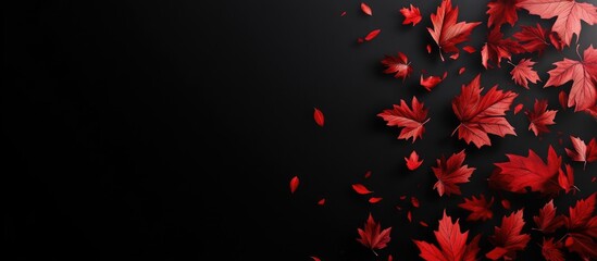 Vibrant red maple leaves scattered against a black background, creating a dynamic autumn scene perfect for seasonal promotions and sales events.