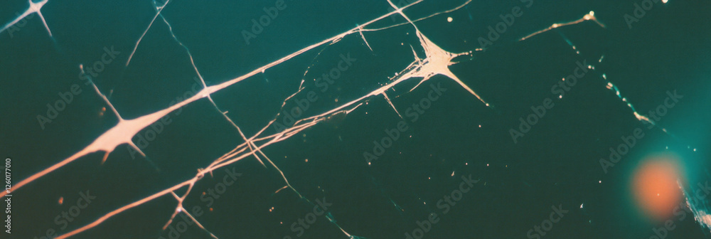 Poster capturing the unique texture of scanned film with scratches and uneven grain characteristics