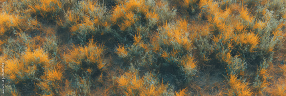 Aufkleber dry grass texture showing yellowed tips and sparse appearance from a top view perspective