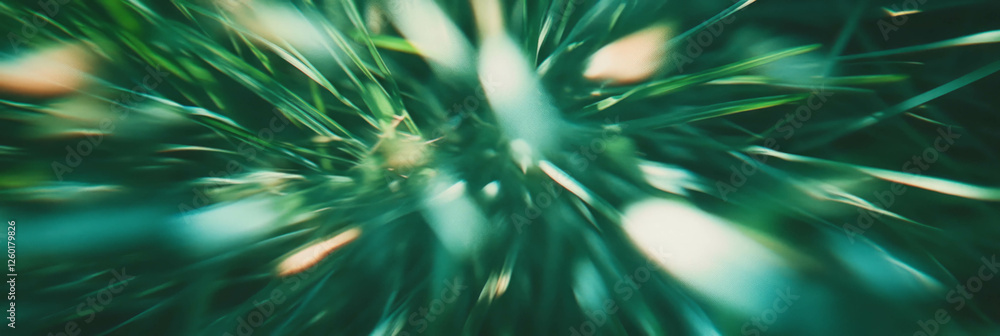 Poster short green grass with fine blades creating a gentle texture under soft light from above