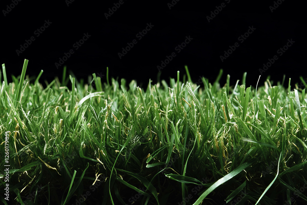 Poster short green grass with fine blades against a black background creating a soft texture