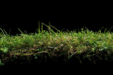 Short patchy grass texture with bare spots on a dark background
