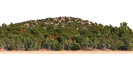 Lush Green Forested Hill Surrounded by Diverse Vegetation Against a Clear Sky