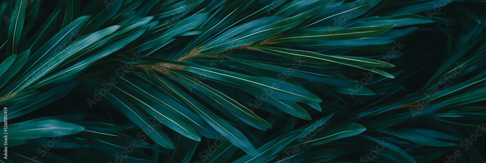 Poster captivating textured pine needle pattern featuring dark greens and intricate lines