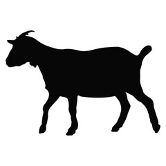 Silhouette of Sacrifice Animal. Eid Al Adha Celebration. Isolated on White Background.