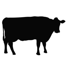 Silhouette of Sacrifice Animal. Eid Al Adha Celebration. Isolated on White Background.