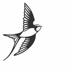 The Lives of Birds in Flight Swallows in mid-flight with detailed wingspans