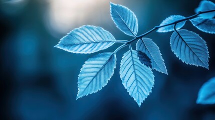 Serene Blue Leaves: Nature's Tranquil Embrace