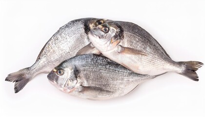 Fototapeta premium Three fresh sea breams lying on white background