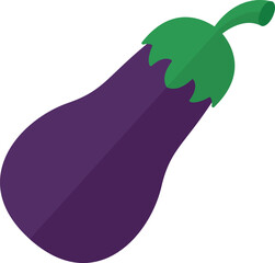 Vector illustration of a eggplant flat design style 