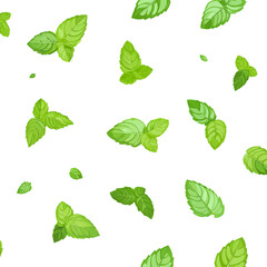 A seamless pattern of mint leaves floating on a white background, a flat lay, a seamless pattern. 